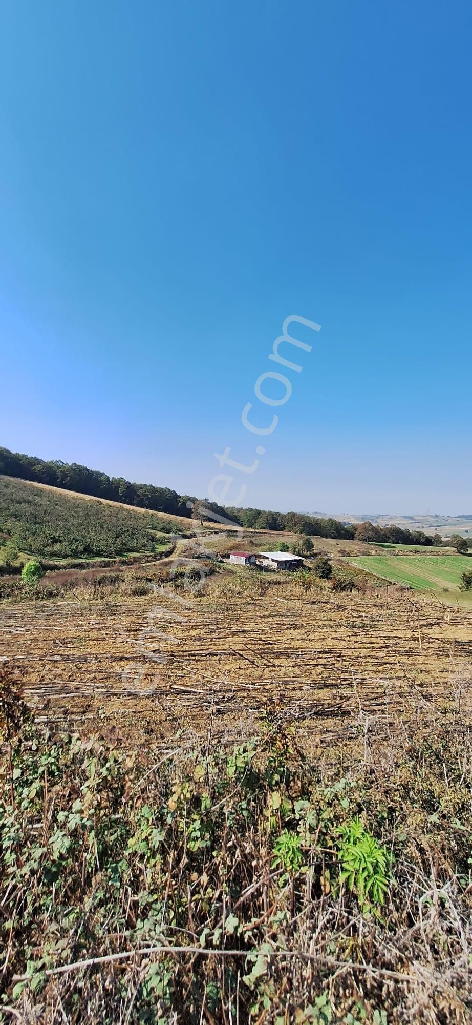 Remax'tan Sakarya Aşırlar'da Satılık 426 M2 Müstakil Tarla - Görsel 6