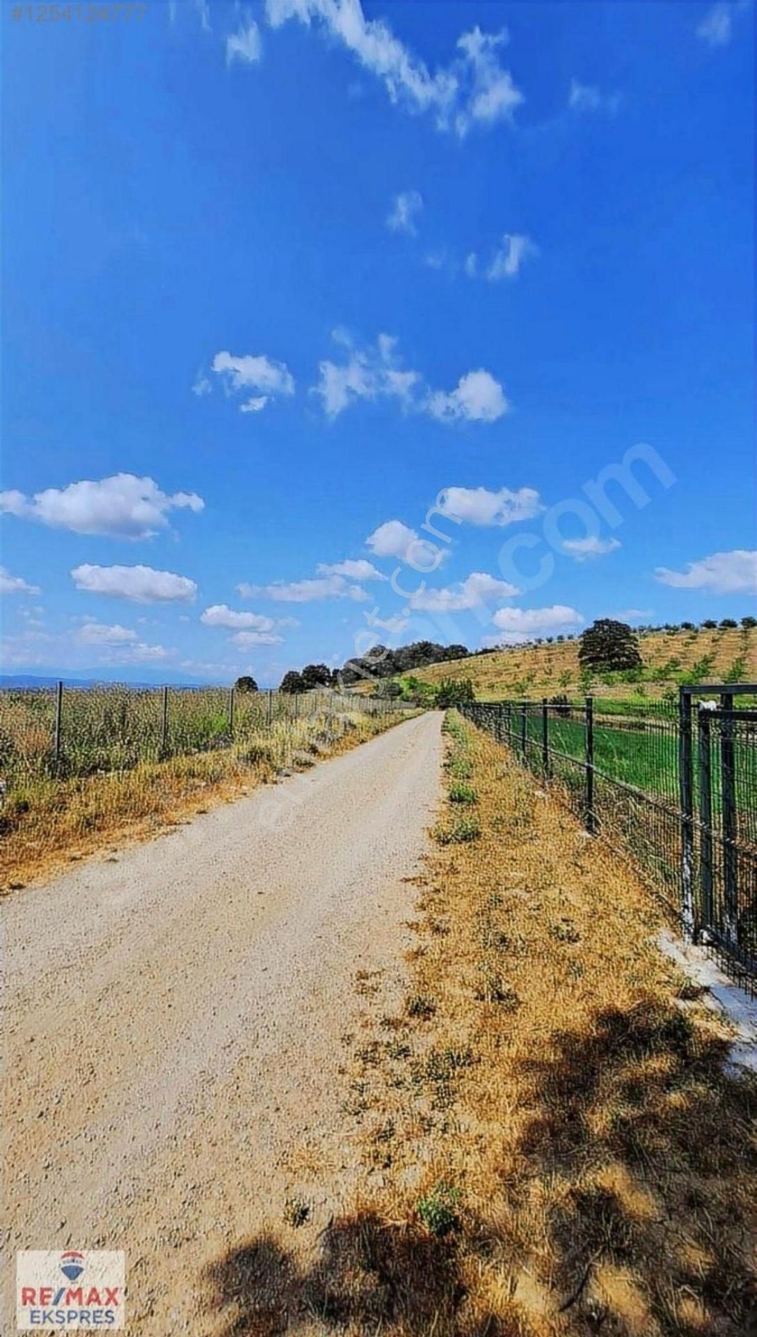 Remax'tan Sakarya Aşırlar'da Satılık 426 M2 Müstakil Tarla - Görsel 7