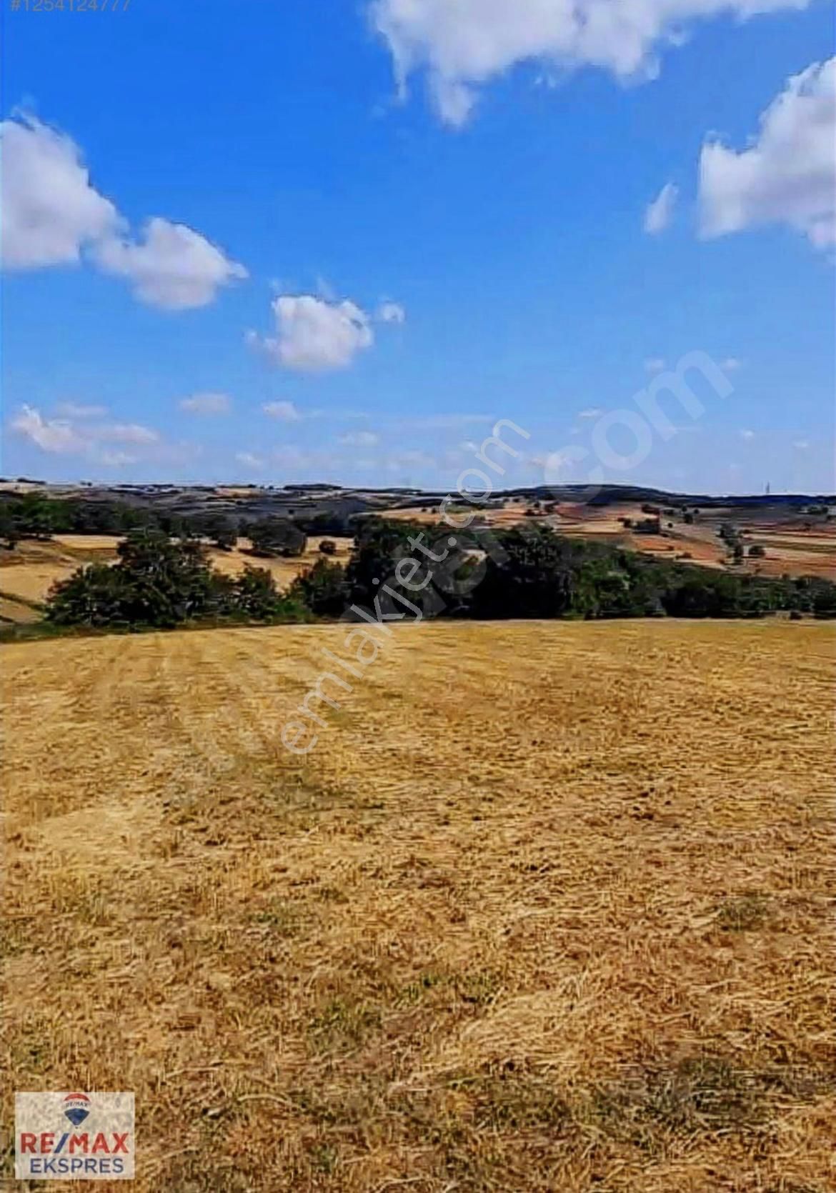 Remax'tan Sakarya Aşırlar'da Satılık 426 M2 Müstakil Tarla - Görsel 8