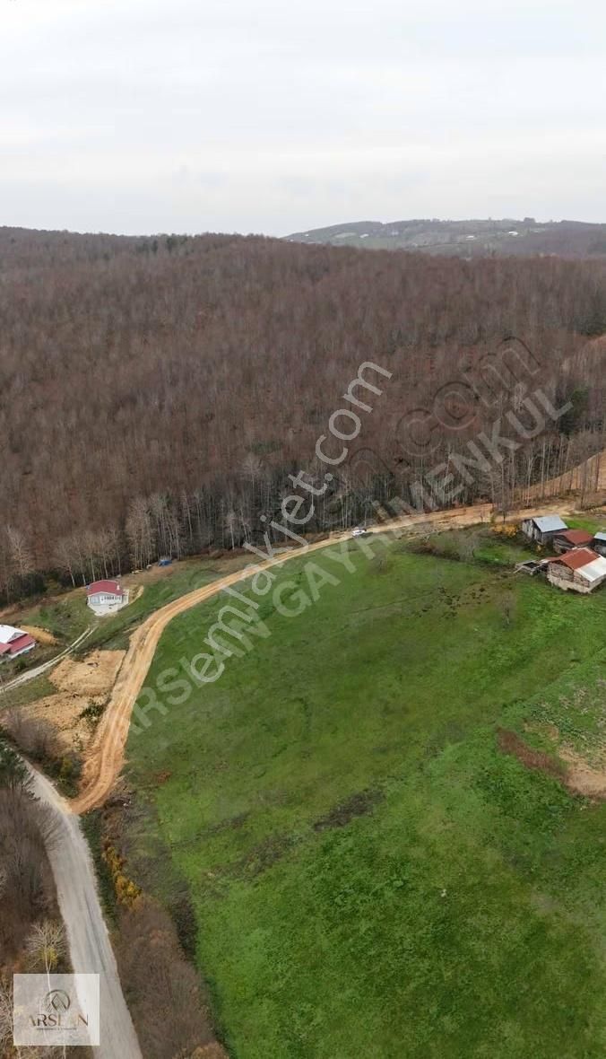 Ormanla Çevrili 250 M² Villa İmarlı Arsa İznik Kutluca - Görsel 2