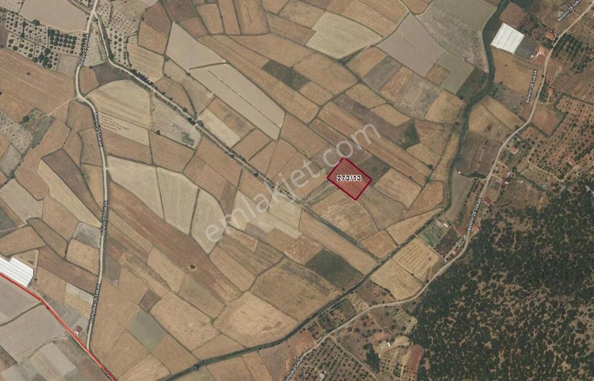 Turyap'tan Denizli Çameli Belevi Mevkiinde 3480m² Tek Tapu - Görsel 2