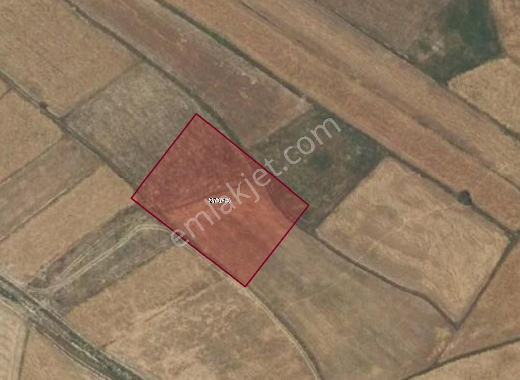 Turyap'tan Denizli Çameli Belevi Mevkiinde 3480m² Tek Tapu - Görsel 3