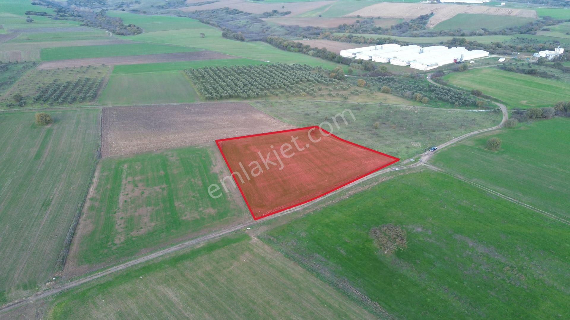 Remax Advantage'dan Karacabey Harmanlı'da Yola Cephe Tarla - Görsel 3