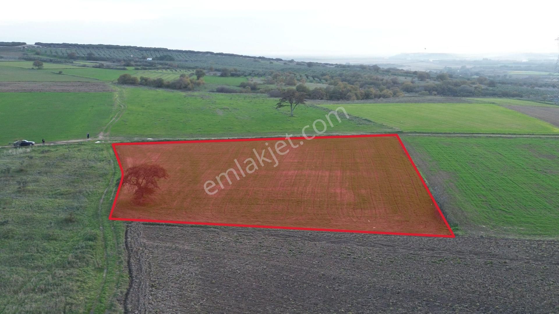 Remax Advantage'dan Karacabey Harmanlı'da Yola Cephe Tarla - Görsel 10