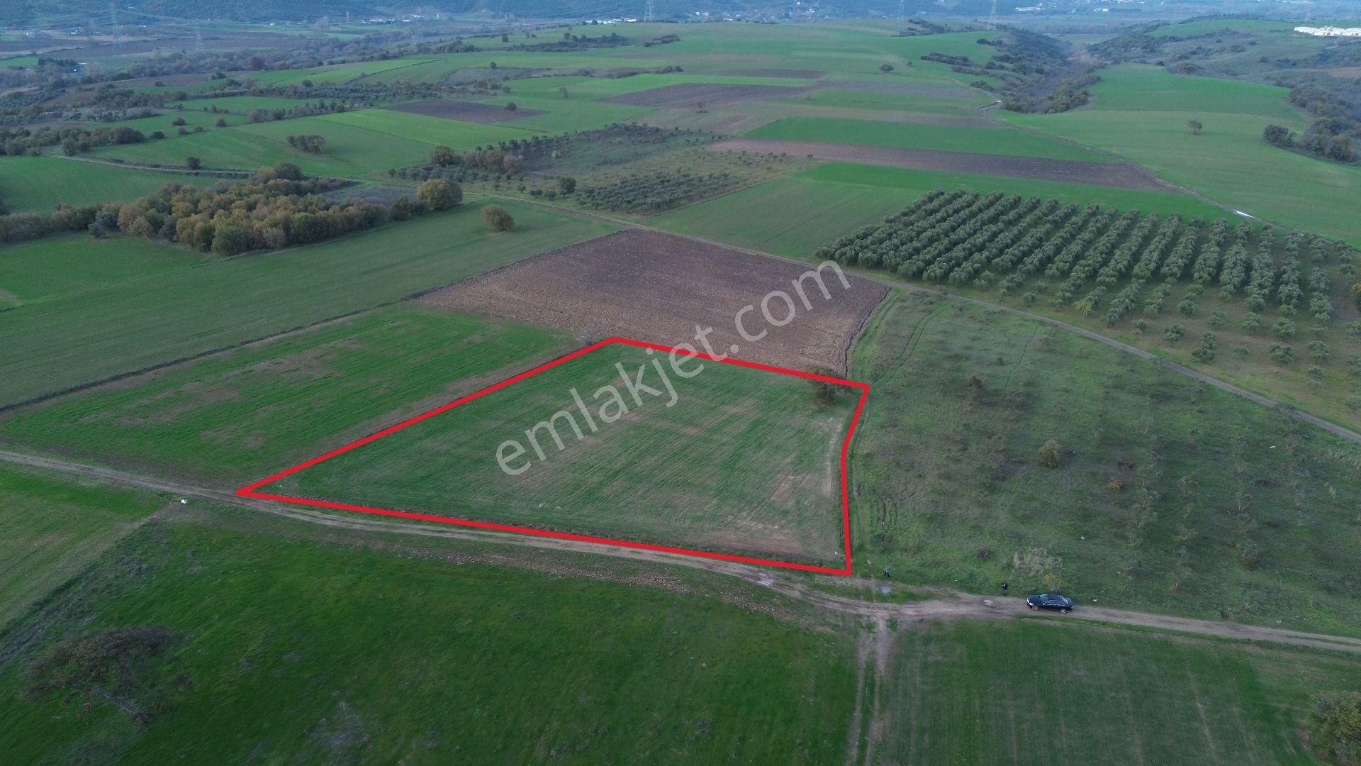 Remax Advantage'dan Karacabey Harmanlı'da Yola Cephe Tarla - Görsel 11