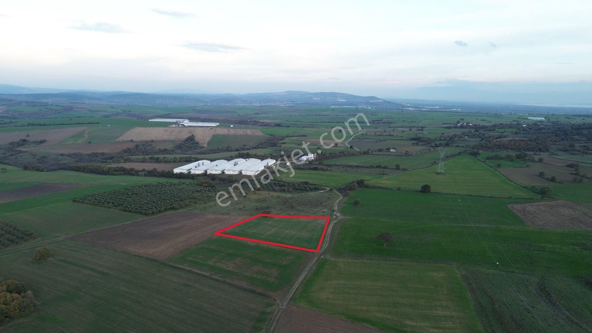 Remax Advantage'dan Karacabey Harmanlı'da Yola Cephe Tarla - Görsel 12