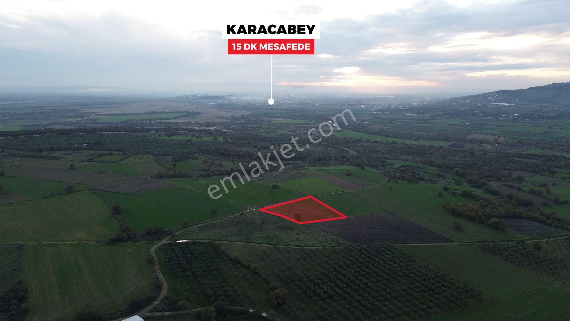 Remax Advantage'dan Karacabey Harmanlı'da Yola Cephe Tarla - Görsel 8