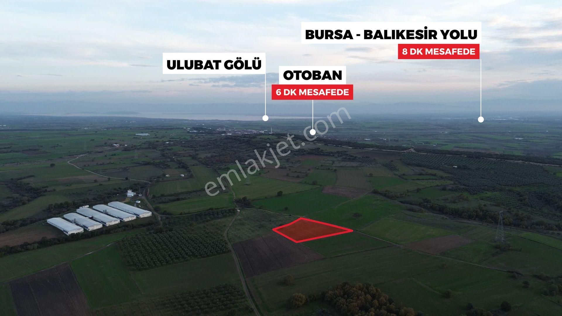 Remax Advantage'dan Karacabey Harmanlı'da Yola Cephe Tarla