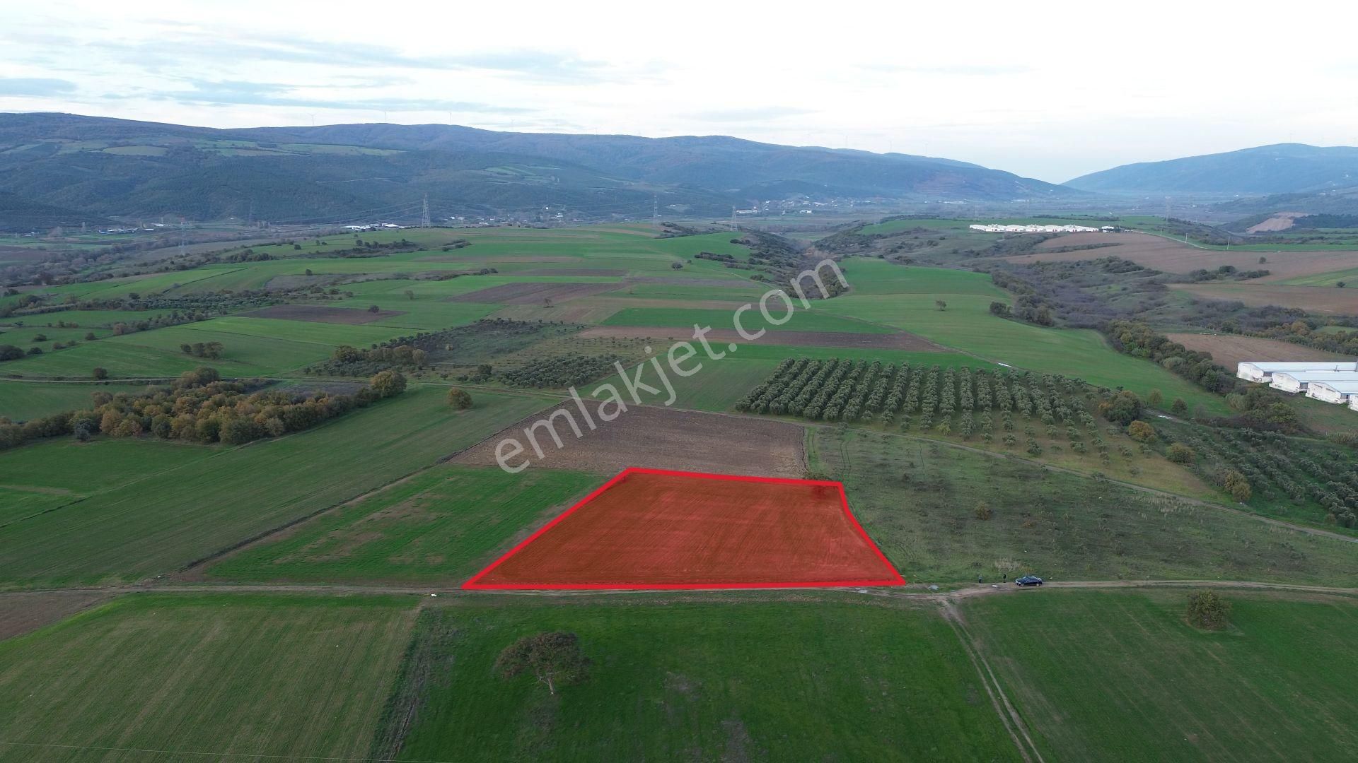 Remax Advantage'dan Karacabey Harmanlı'da Yola Cephe Tarla - Görsel 2