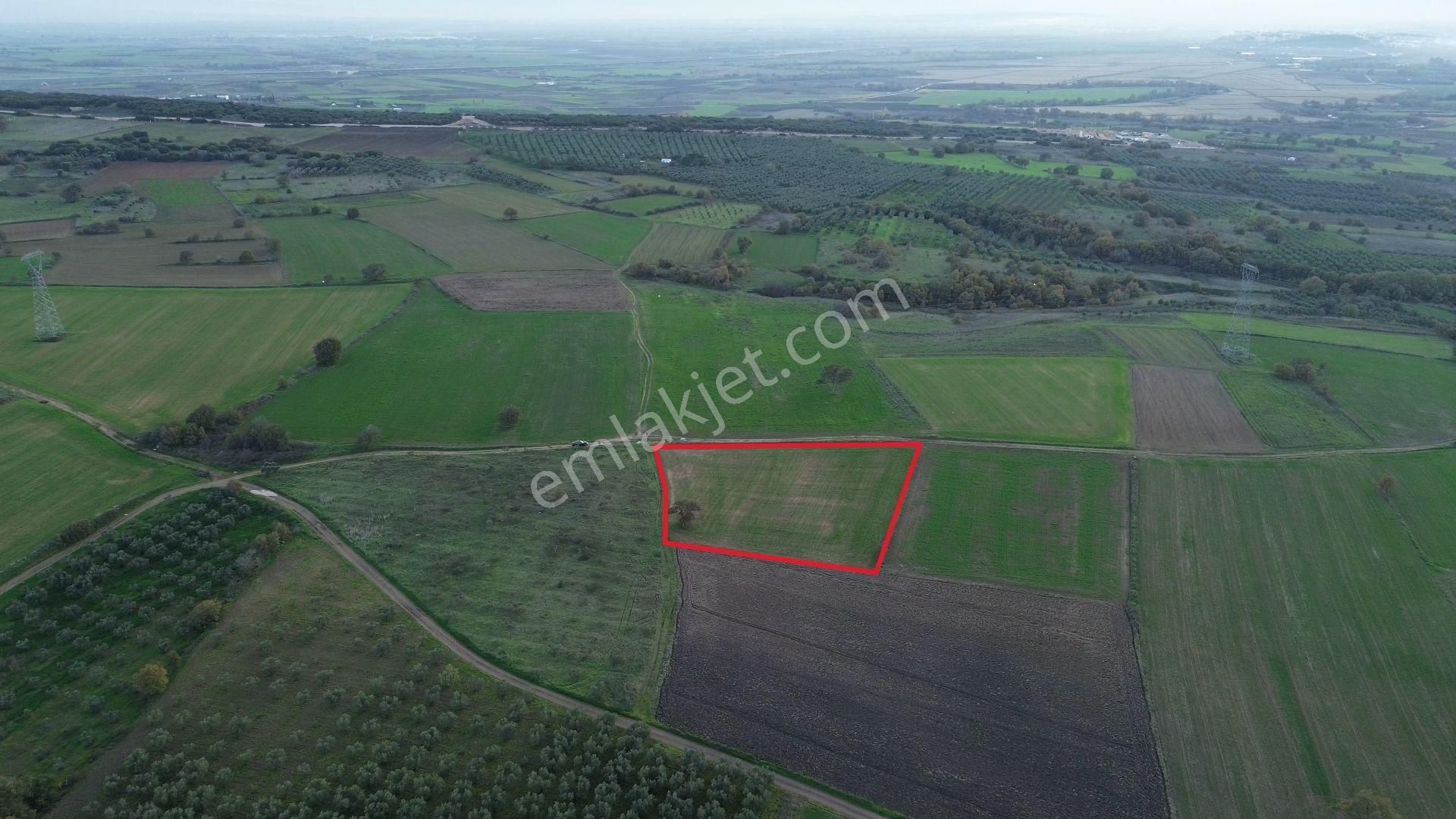 Remax Advantage'dan Karacabey Harmanlı'da Yola Cephe Tarla - Görsel 9