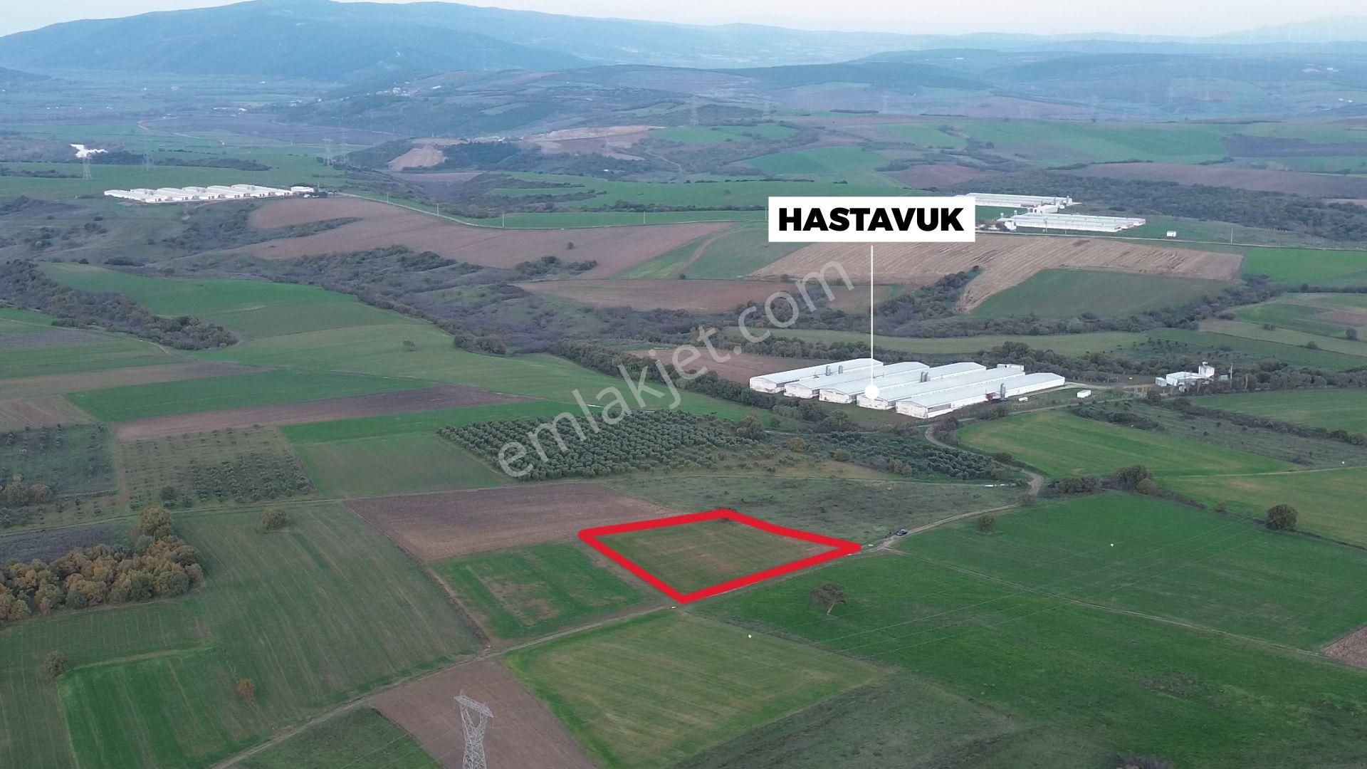 Remax Advantage'dan Karacabey Harmanlı'da Yola Cephe Tarla - Görsel 7