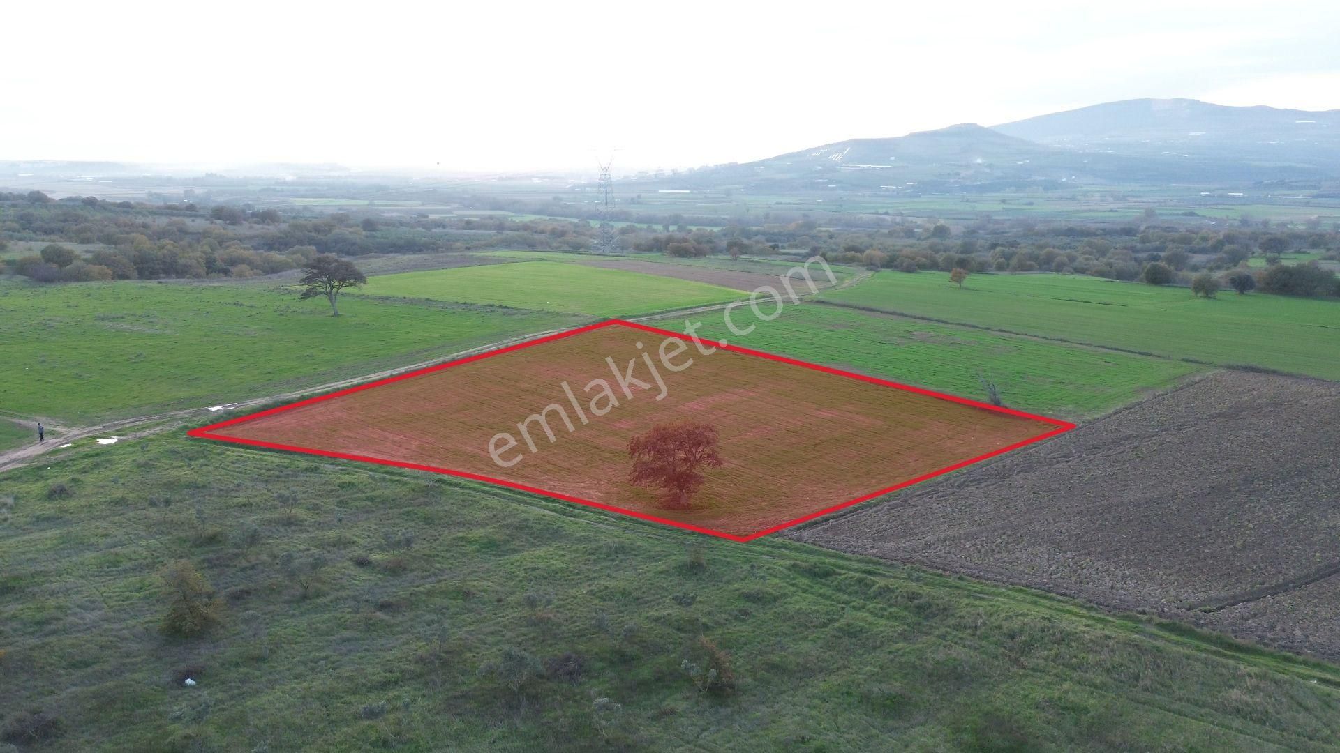 Remax Advantage'dan Karacabey Harmanlı'da Yola Cephe Tarla - Görsel 5