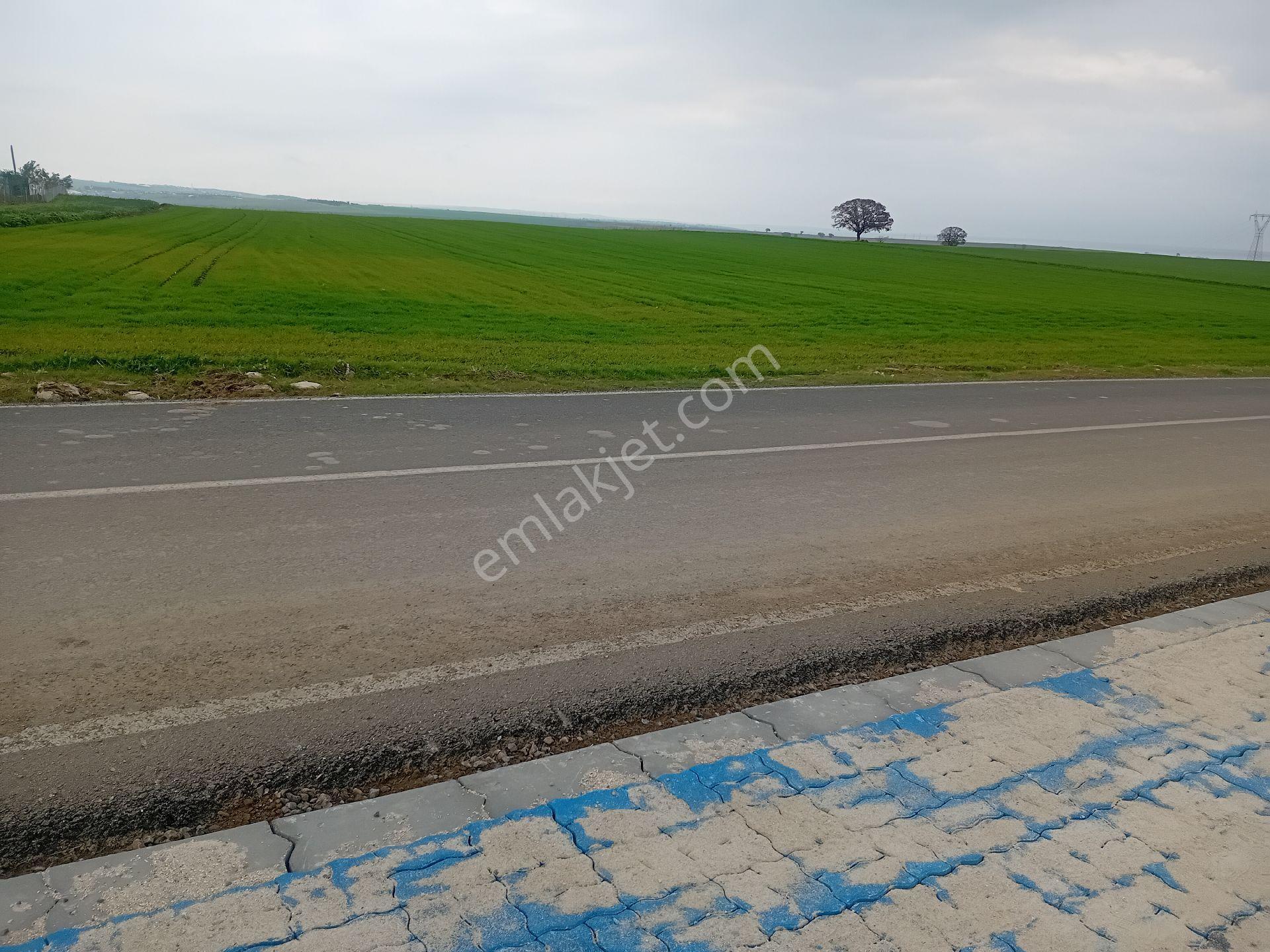 Köseilyas Mahallesinde.satılık Ya - Görsel 7