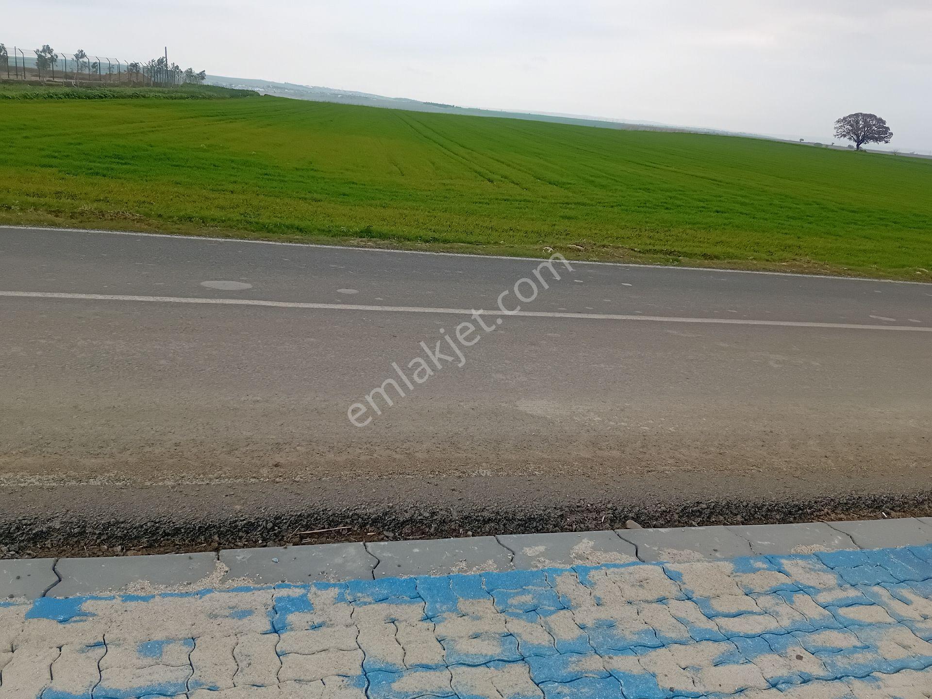 Köseilyas Mahallesinde.satılık Ya - Görsel 16