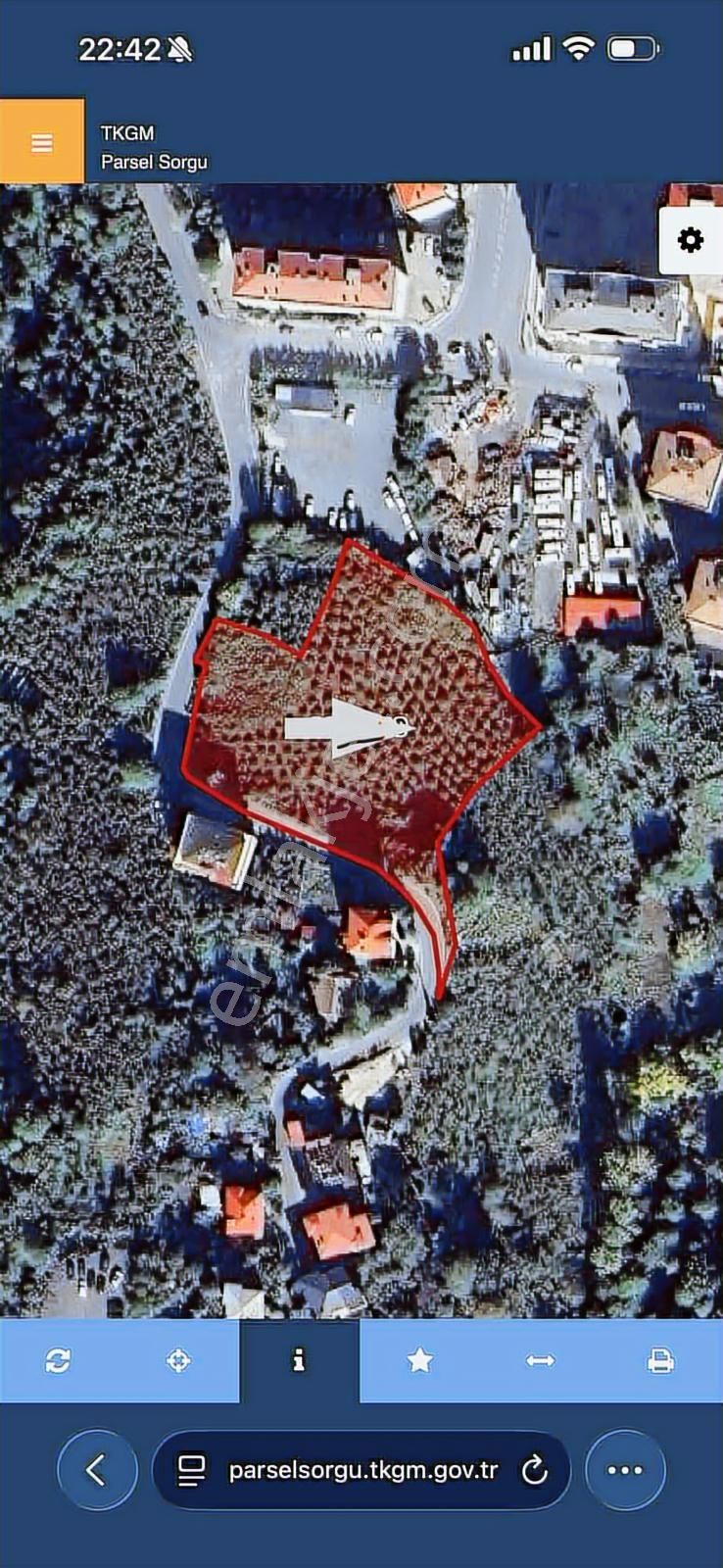 Pelitli Yeşilköy De Satılık Arsa - Görsel 6