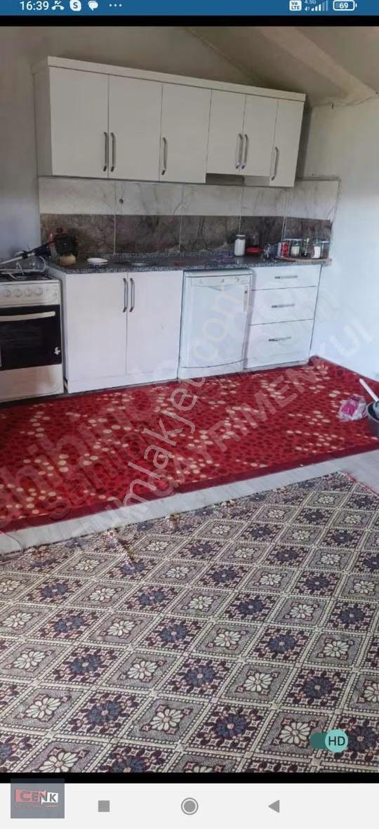 Atabey Harmanören Satılık Üzüm Bahçesi - Görsel 3