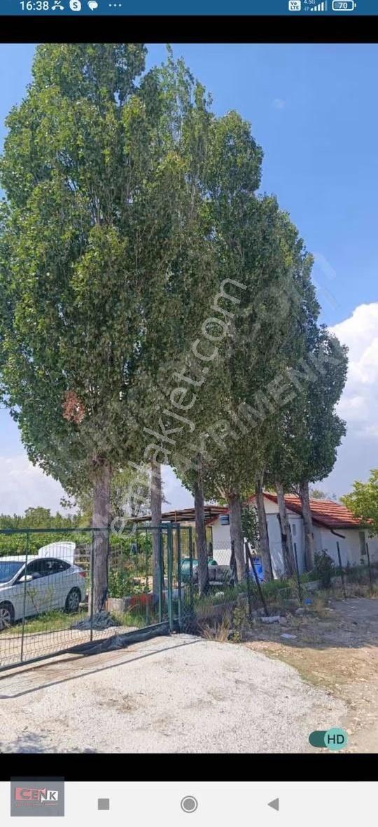 Atabey Harmanören Satılık Üzüm Bahçesi - Görsel 5