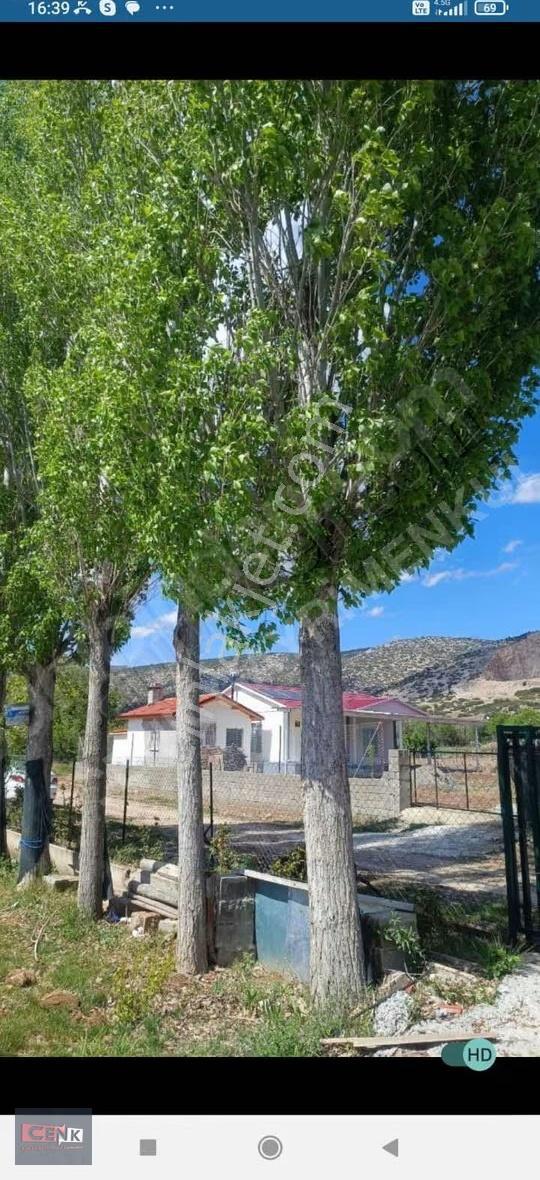 Atabey Harmanören Satılık Üzüm Bahçesi - Görsel 12
