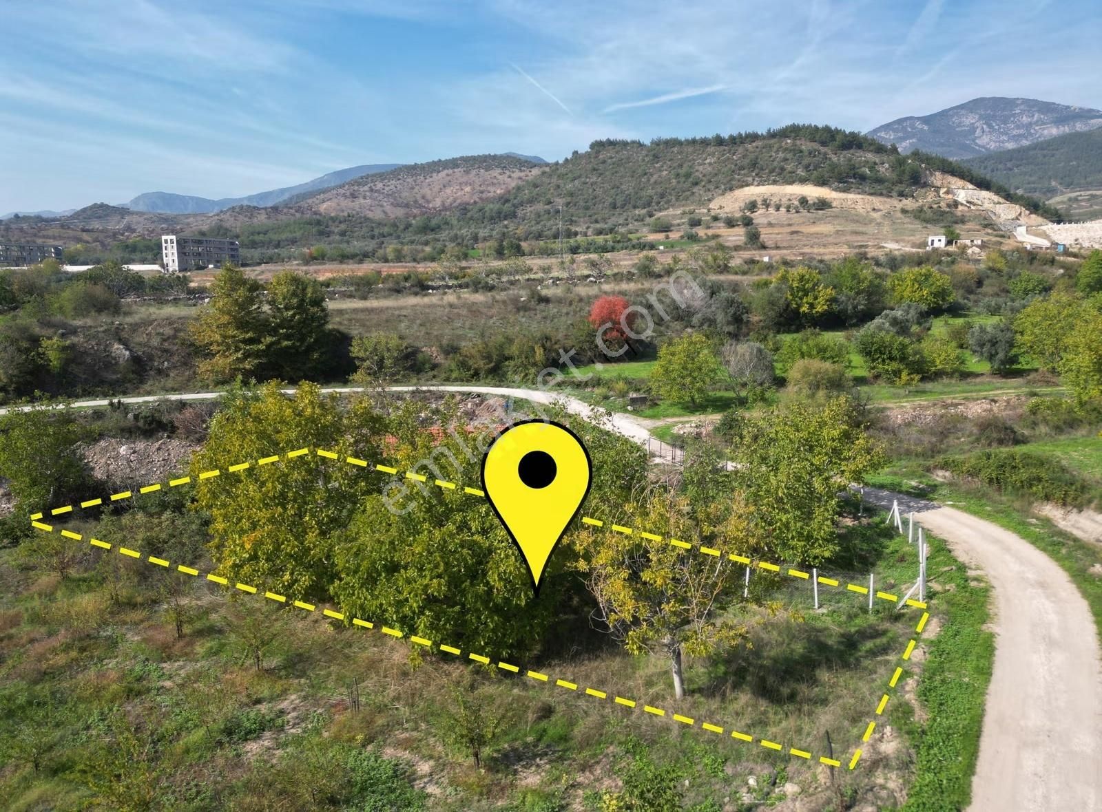 Pamukova Gökgöz Mh. Yerleşime Yakın 350m² Ceviz Bahçesi