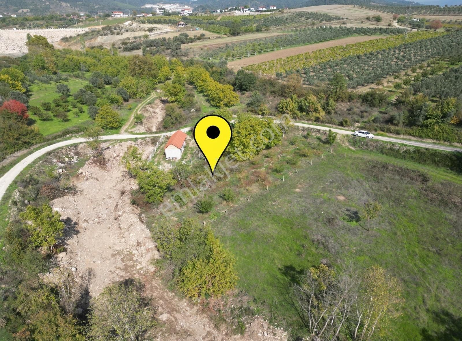 Pamukova Gökgöz Mh. Yerleşime Yakın 350m² Ceviz Bahçesi - Görsel 5