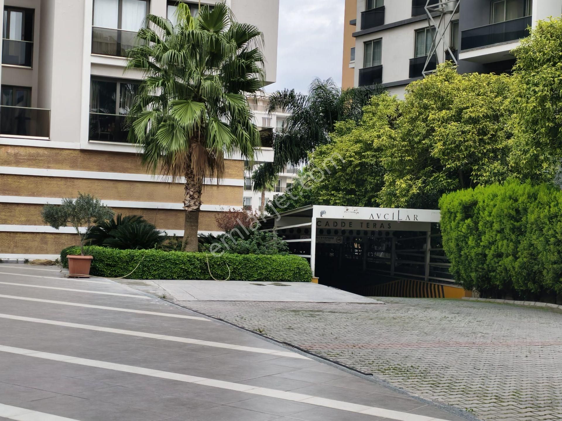 Bornova Ege Ve Yaşar Ünv. Yakını Cadde Teras'ta Kıralık 2+1 Daıre - Görsel 3