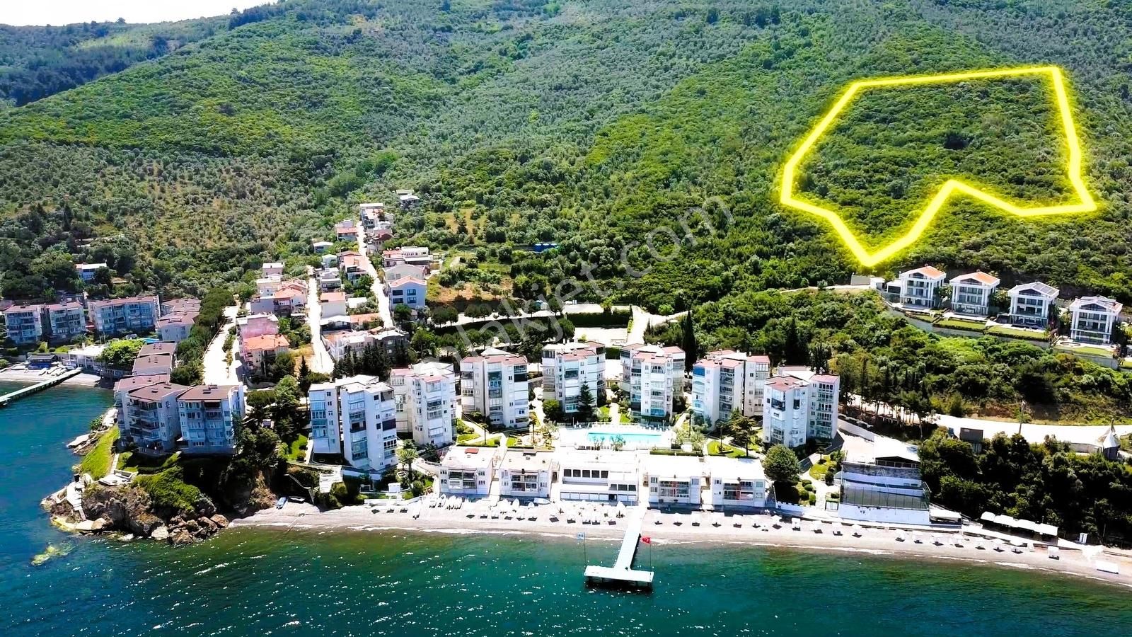 Mudanya Da Yeni İmar Planına Sınır Olan 9.717 M²lik Arazi - Görsel 3