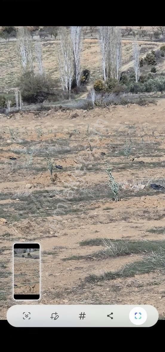 Salihli Beşyol Emlaktan Satılık 71 Dönüm Zeytinlik Arazi - Görsel 5