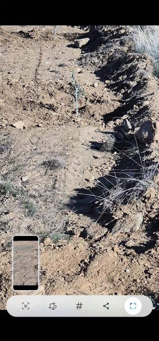 Salihli Beşyol Emlaktan Satılık 71 Dönüm Zeytinlik Arazi - Görsel 3