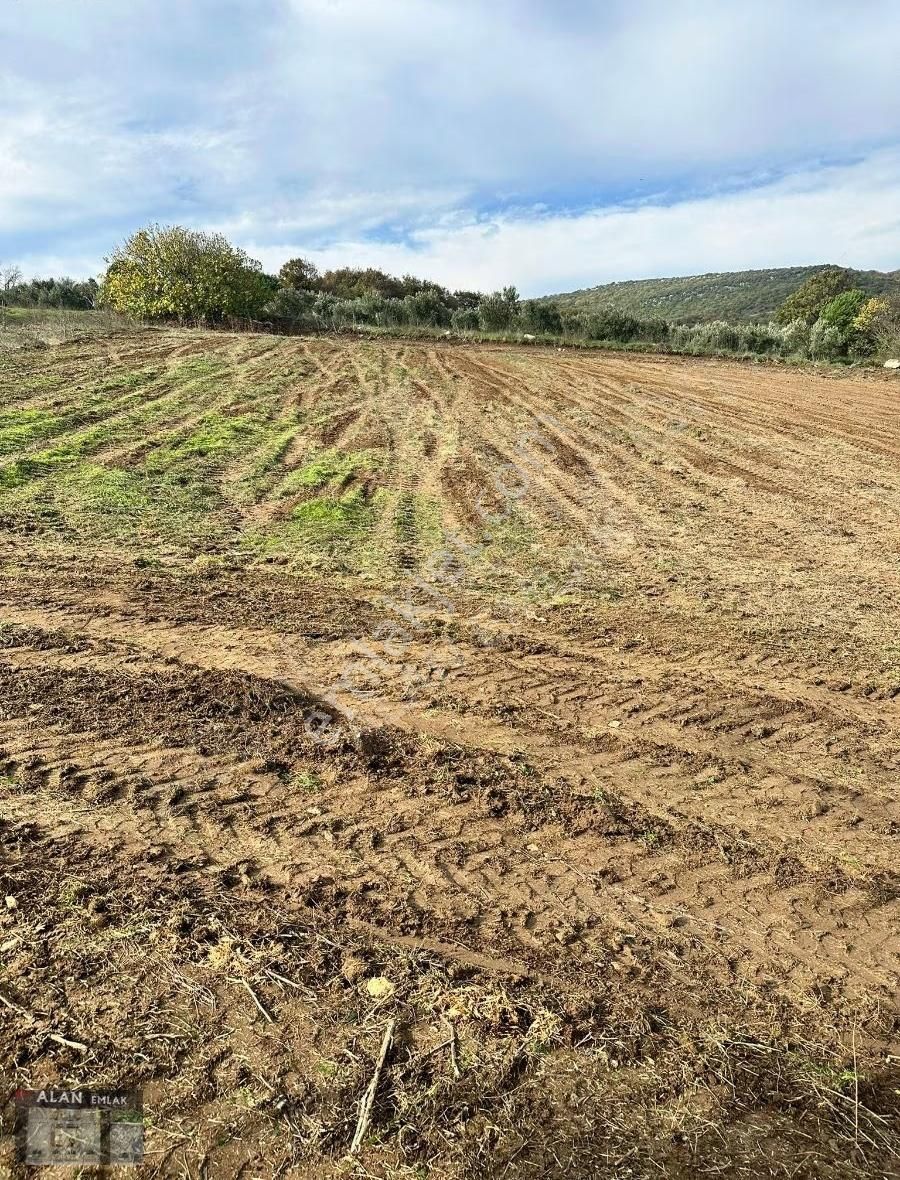 Karacabey Çamlıcada 2.5 Kat Resmi Konut İmarlı Arsa - Görsel 9