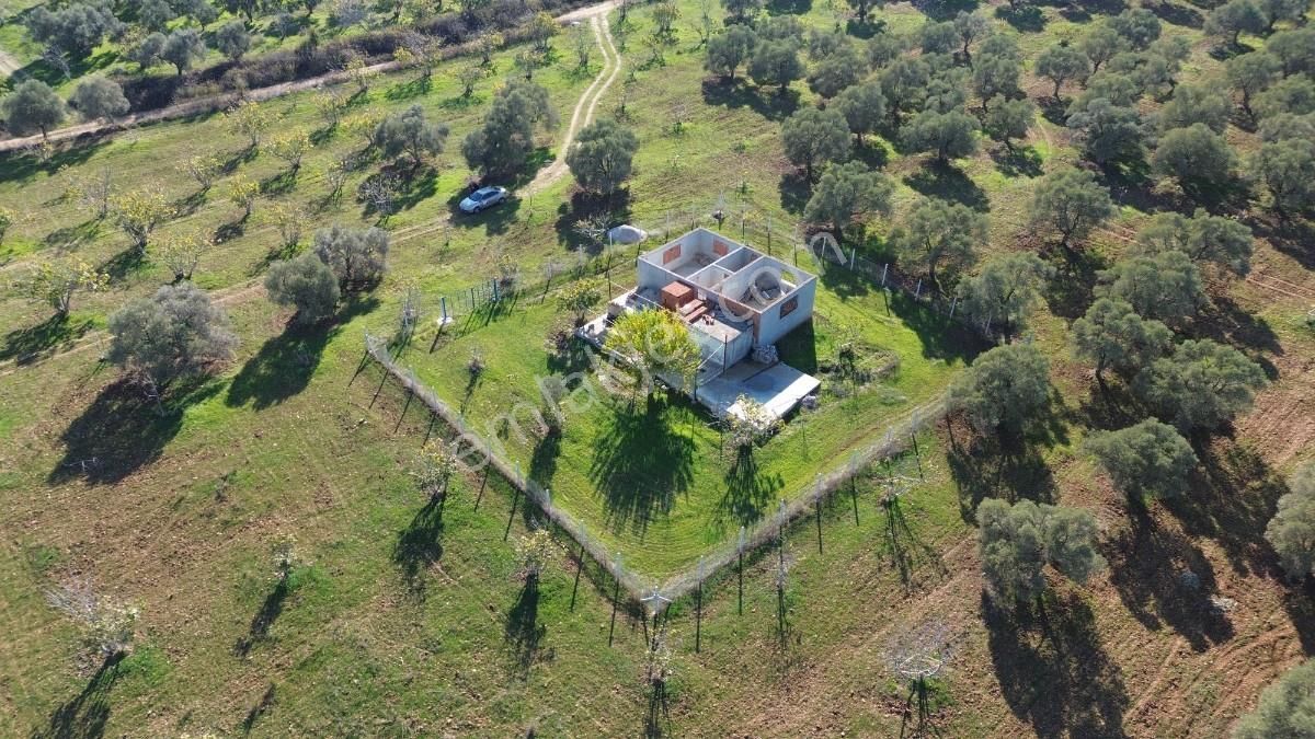 Yatırımlık Zeytin Ve İncir Tarlası - Görsel 3