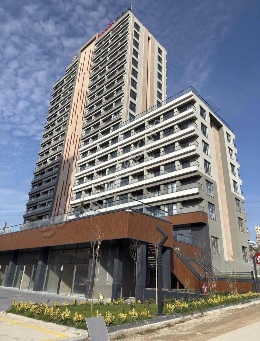 Bordo Yaşamda Oturuma Hazır Dair - Görsel 19