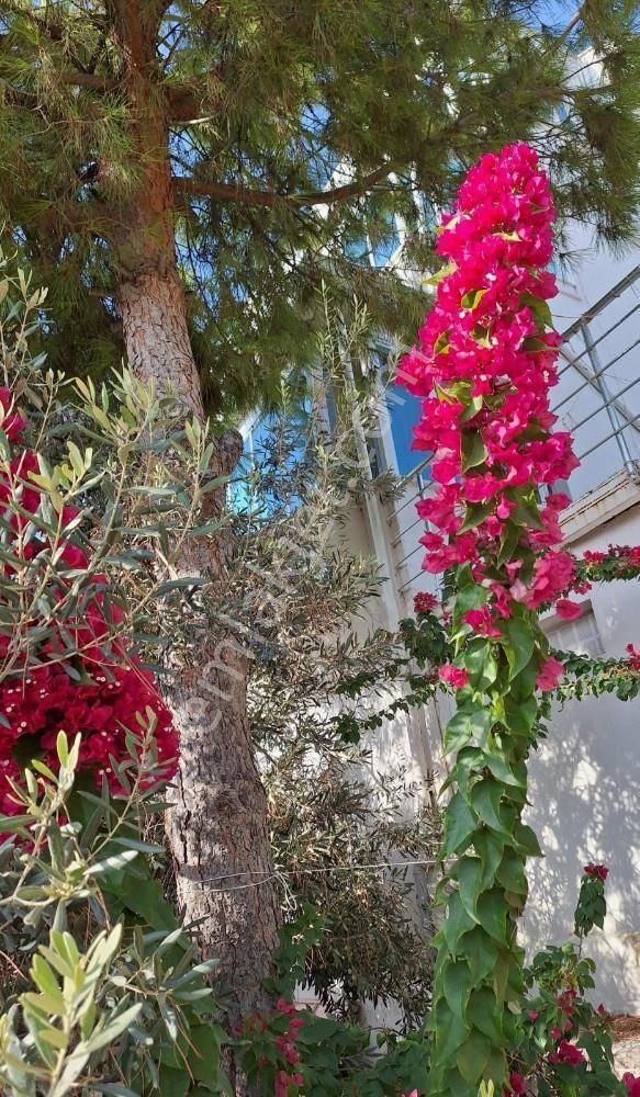 Acil Satılık Kuşadası Müstakil Deniz Manzaralı Villa 4+1 - Görsel 31