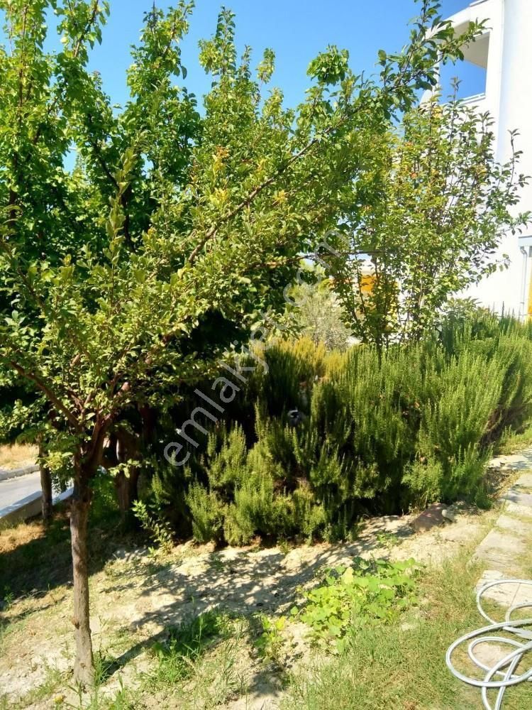 Acil Satılık Kuşadası Müstakil Deniz Manzaralı Villa 4+1 - Görsel 30