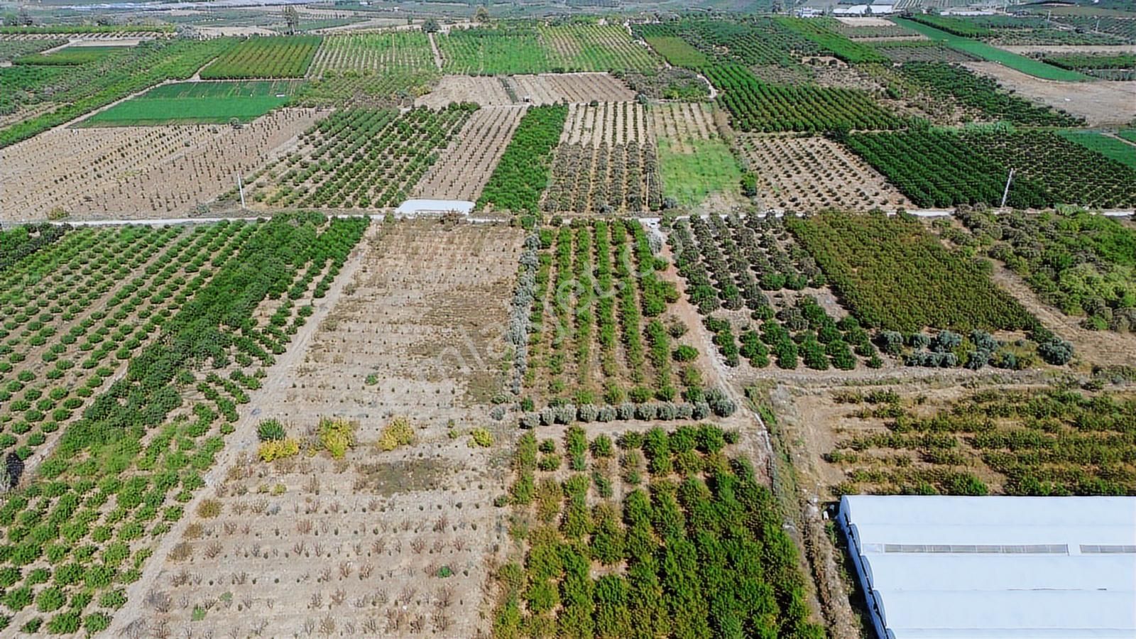 Emlak Z' Den ⫸ｆｉｒｓａt⫸ Demirhisar Yanparda 4 Dönüm Arsa - Görsel 11