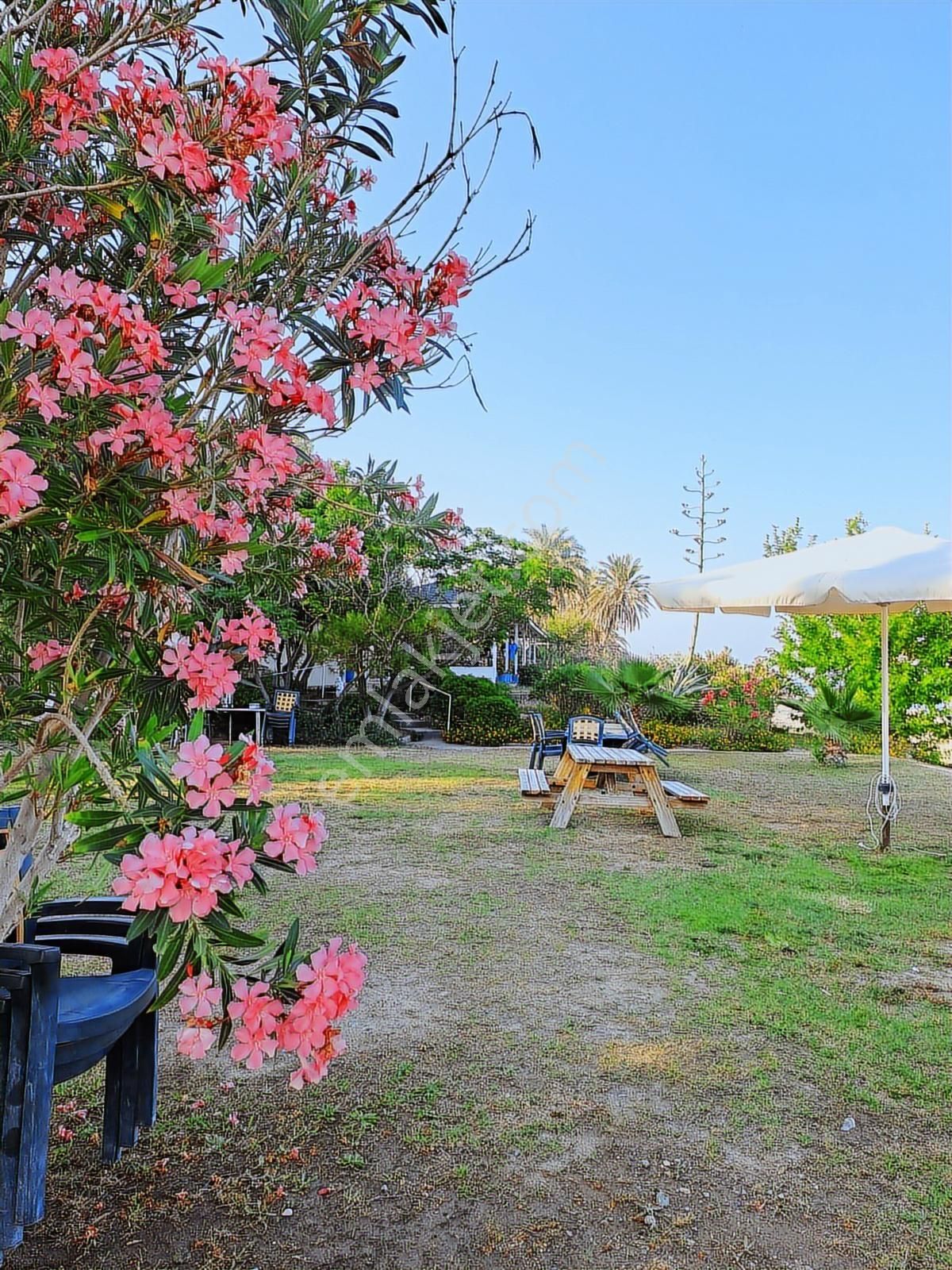 Tekirova Da Denize 50 M Özel Plajlı Villa | Vega Invest | - Görsel 21