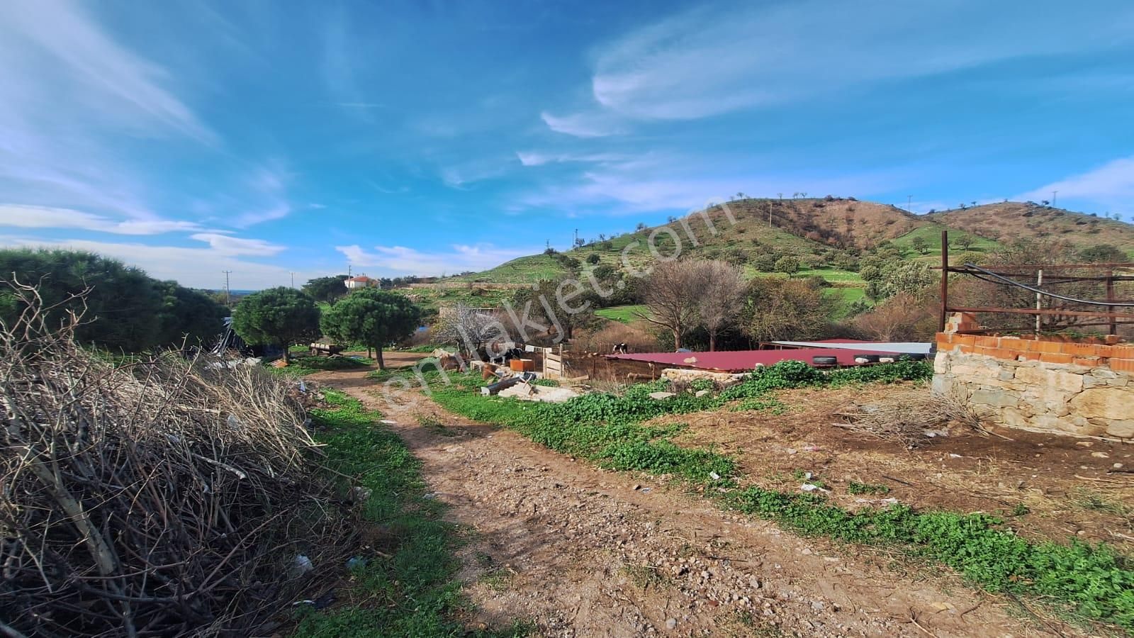 Çanakkale Ayvacık Kösederede 820 M² Satılık Arsa - Görsel 12