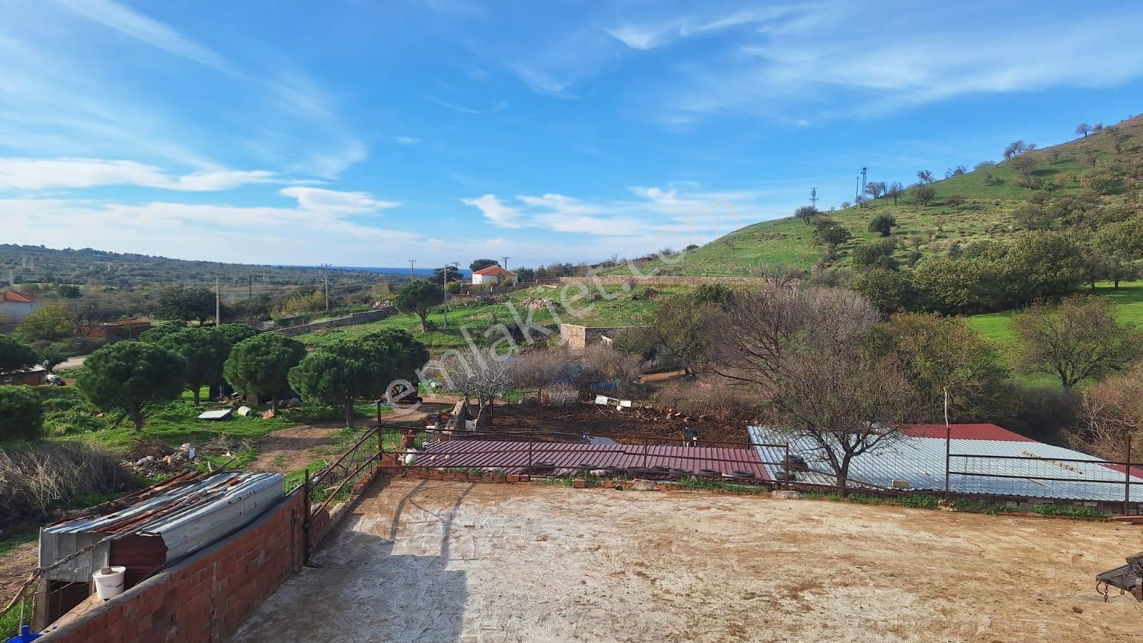 Çanakkale Ayvacık Kösederede 820 M² Satılık Arsa - Görsel 16
