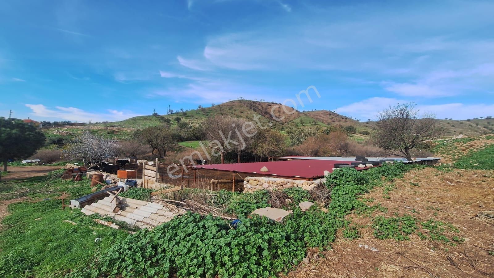 Çanakkale Ayvacık Kösederede 820 M² Satılık Arsa - Görsel 10