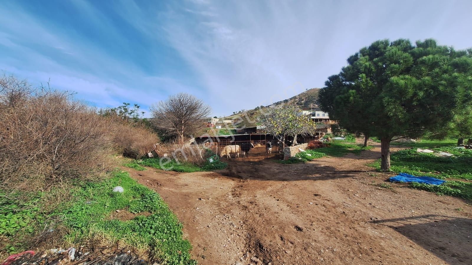 Çanakkale Ayvacık Kösederede 820 M² Satılık Arsa - Görsel 3