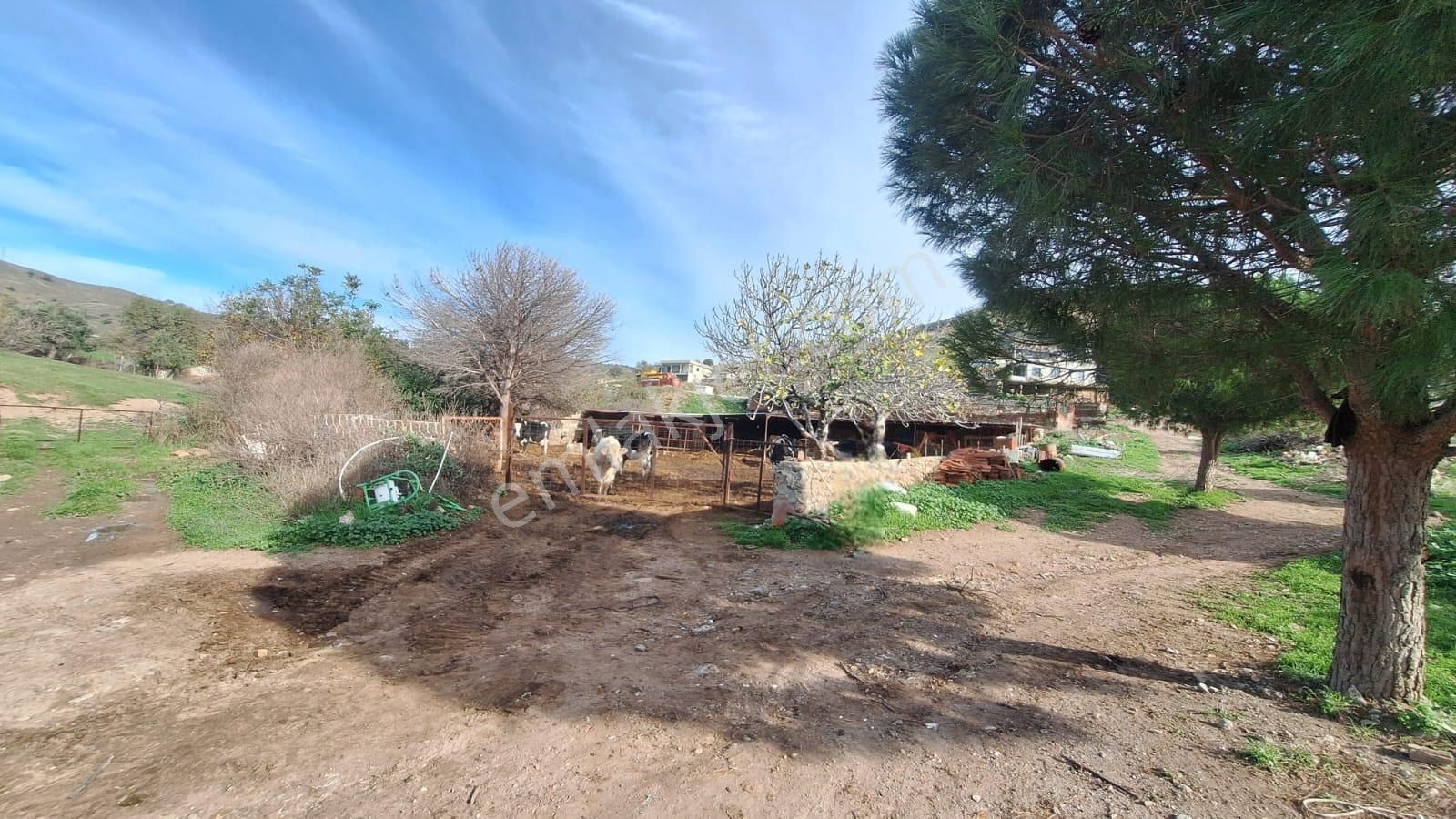 Çanakkale Ayvacık Kösederede 820 M² Satılık Arsa