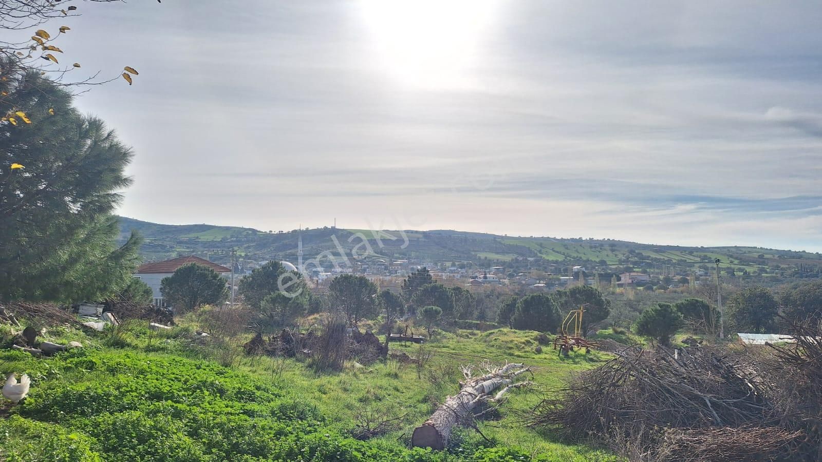 Çanakkale Ayvacık Kösederede 820 M² Satılık Arsa - Görsel 15
