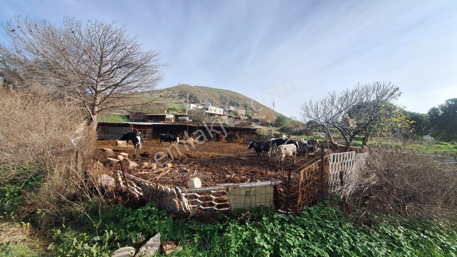 Çanakkale Ayvacık Kösederede 820 M² Satılık Arsa - Görsel 5