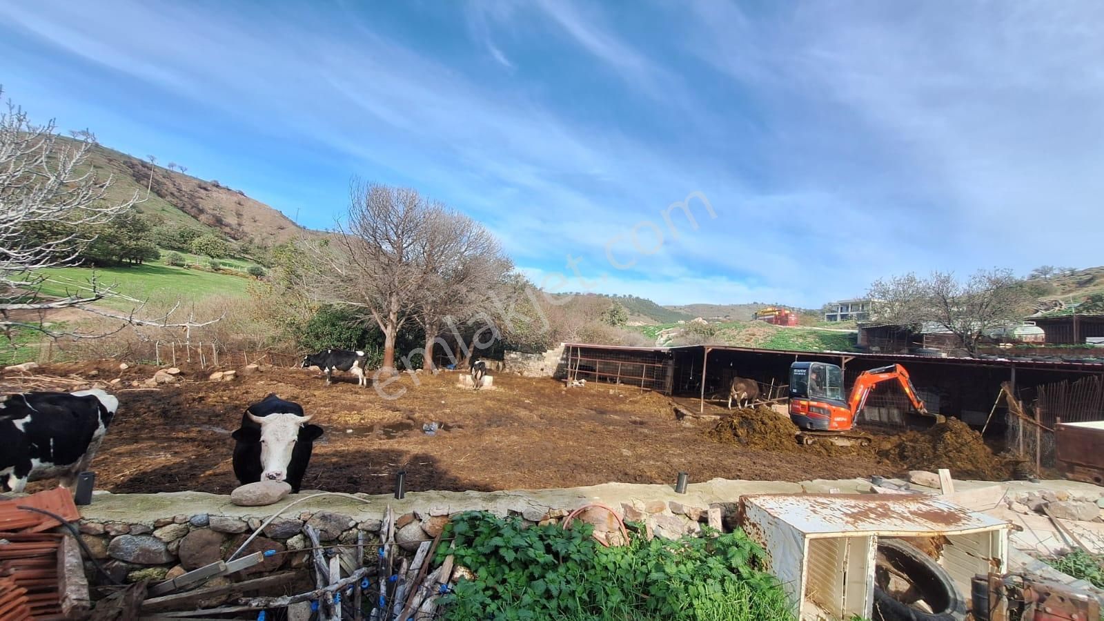 Çanakkale Ayvacık Kösederede 820 M² Satılık Arsa - Görsel 8