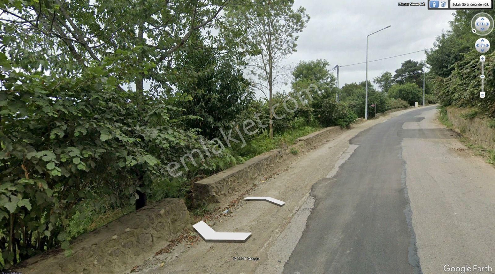 Pelitli Yeşilköy'de - Görsel 4