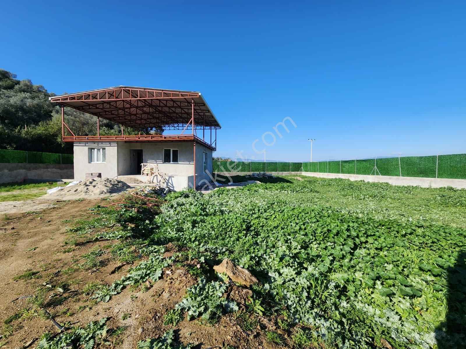 Akinitadan Aydın Söke Nalbantlarda Satılık Müstakil Arsa Ve Ev - Görsel 13