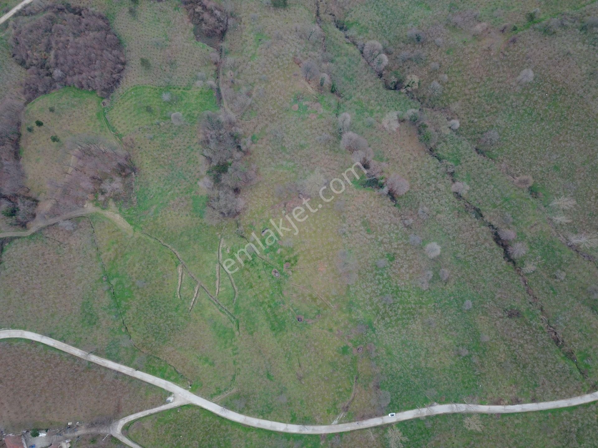 Esmer Emlak'tan Satılık Baraj Manzaralı Fındıklık - Görsel 3