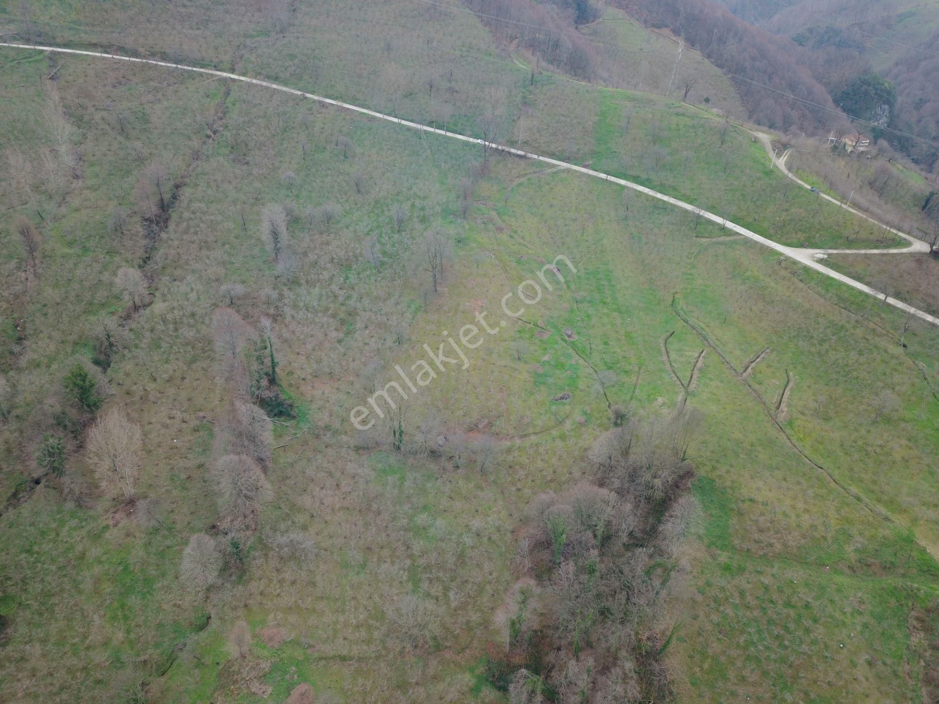 Esmer Emlak'tan Satılık Baraj Manzaralı Fındıklık - Görsel 7