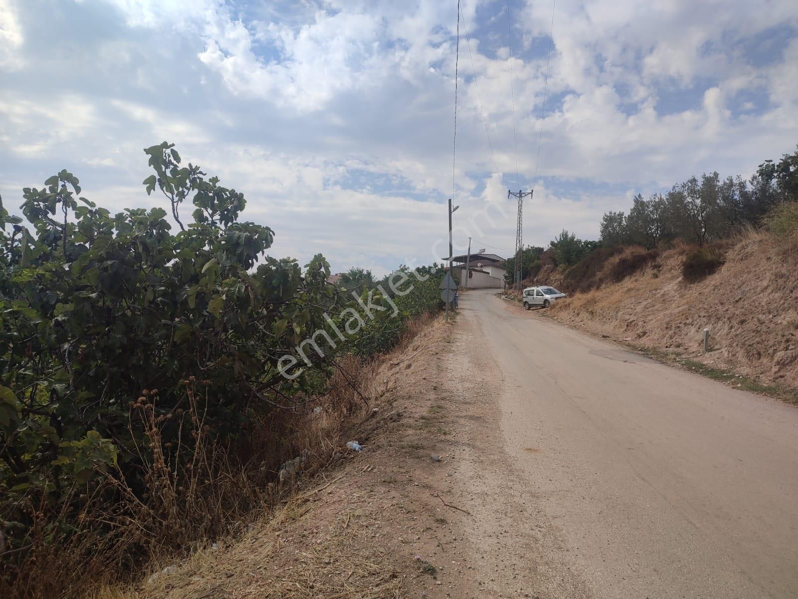 Remax Leon Kestel Çataltepe Satılık Kısmi İmarlı Zeytinlik - Görsel 15