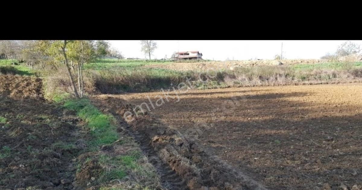 🚀 Kaçırılmaz Yatırım Fırsatı! Satılık Tarla | Sakarya - Kaynarca - Akbaşlı 🚀 - Görsel 4