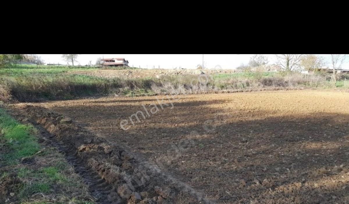 🚀 Kaçırılmaz Yatırım Fırsatı! Satılık Tarla | Sakarya - Kaynarca - Akbaşlı 🚀 - Görsel 10